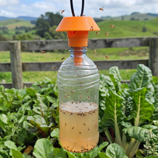 Outdoor Fruit Fly Trap