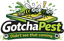 GotchaPest